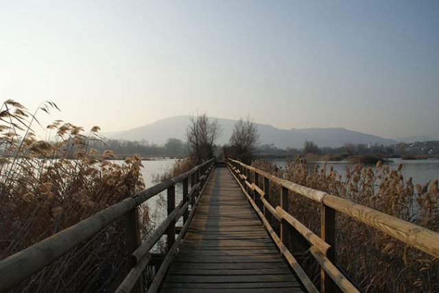 dsc08941