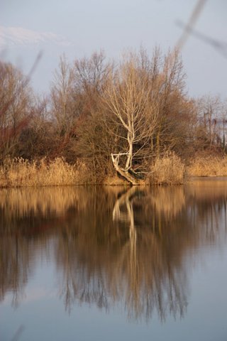 dsc08973